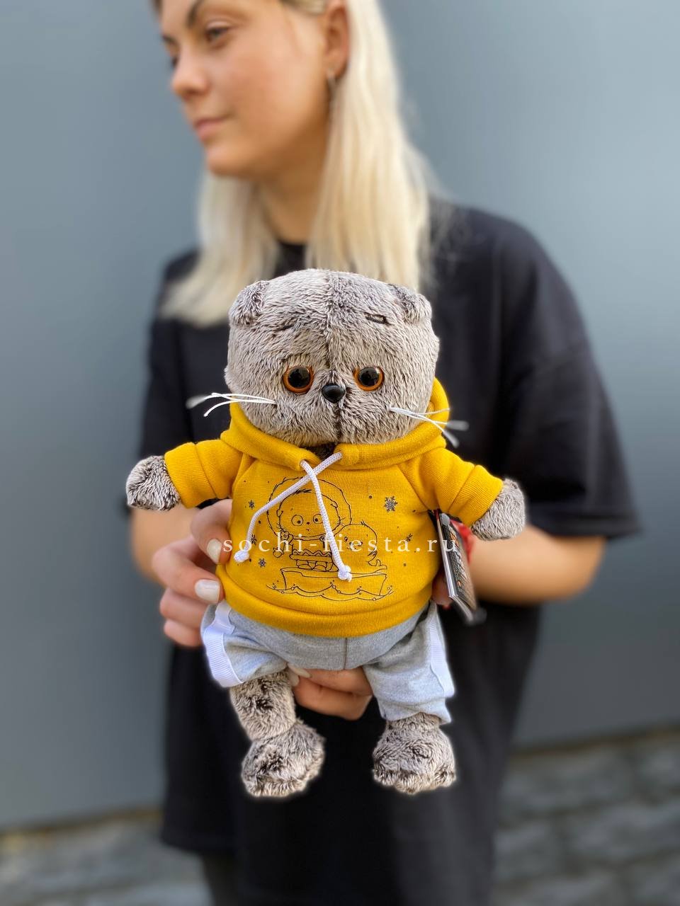 Кот Басик в худи в Сочи