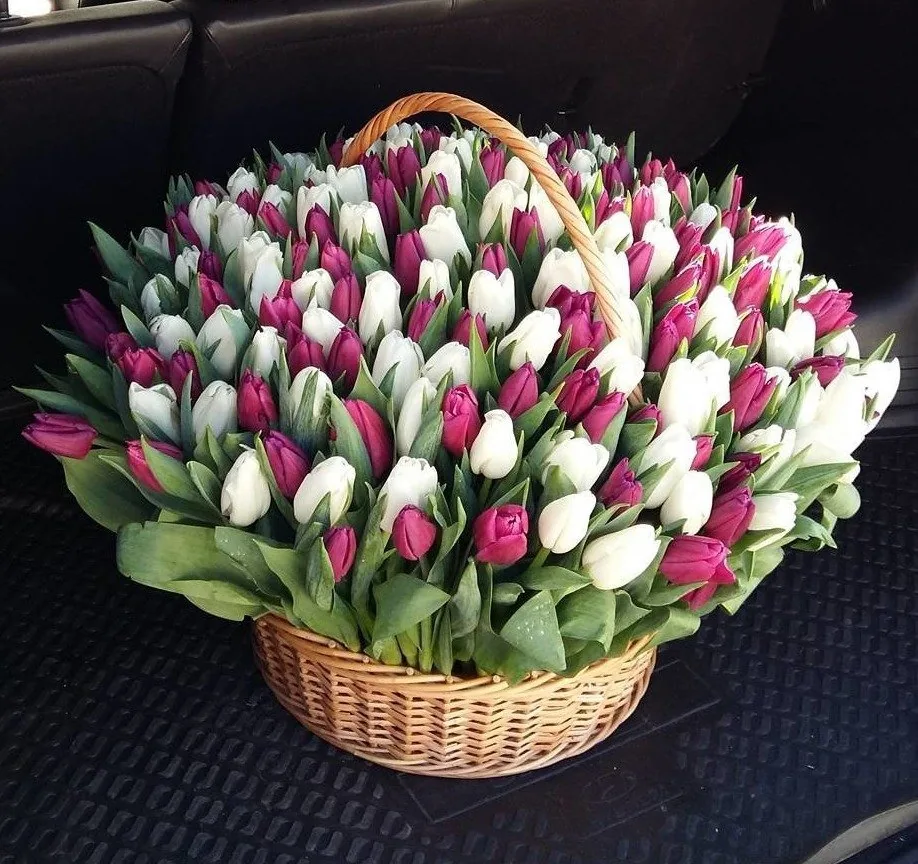 Корзина из 151 тюльпана MIX в Сочи