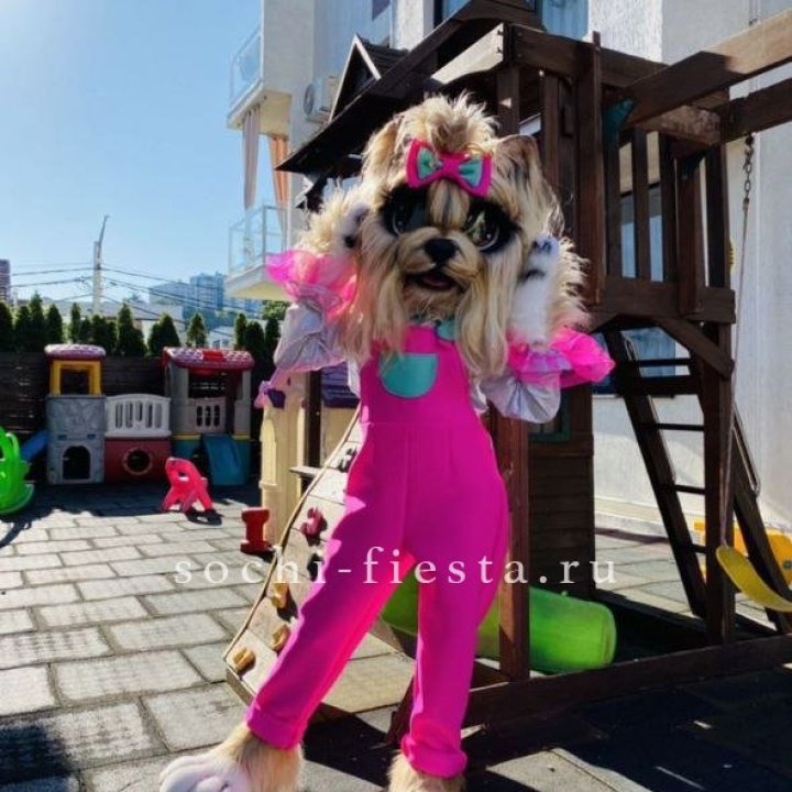 Аниматор Гламурная Собака в Сочи