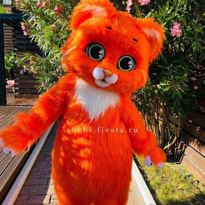 Аниматор Котик в Сочи