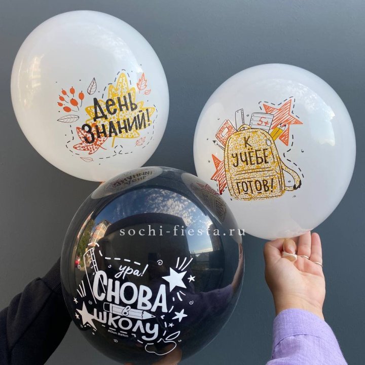 Воздушный шар к 1 сентября в Сочи