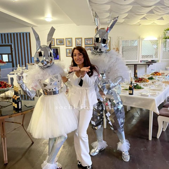 Аниматор Зеркальный заяц в Сочи