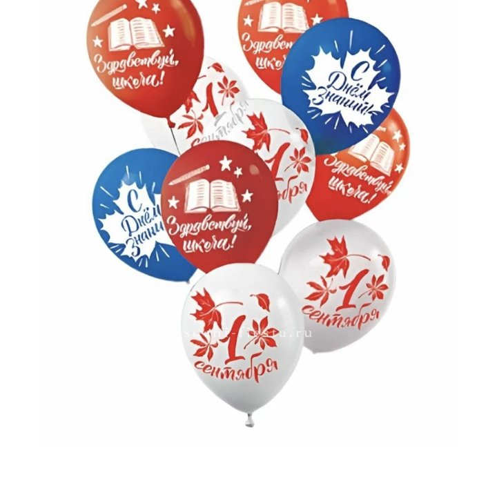 Воздушный шар на день знаний в Сочи