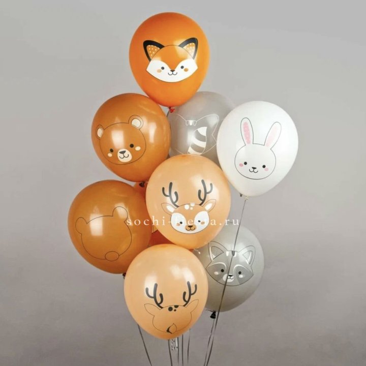 Воздушный шар "Животные" в Сочи