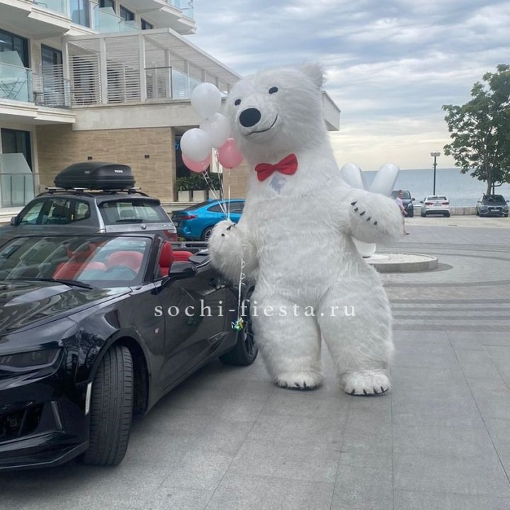 Аниматор Белый Медведь в Сочи