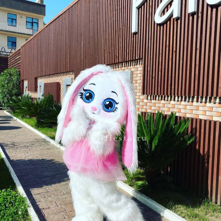 Аниматор Зайка в Сочи