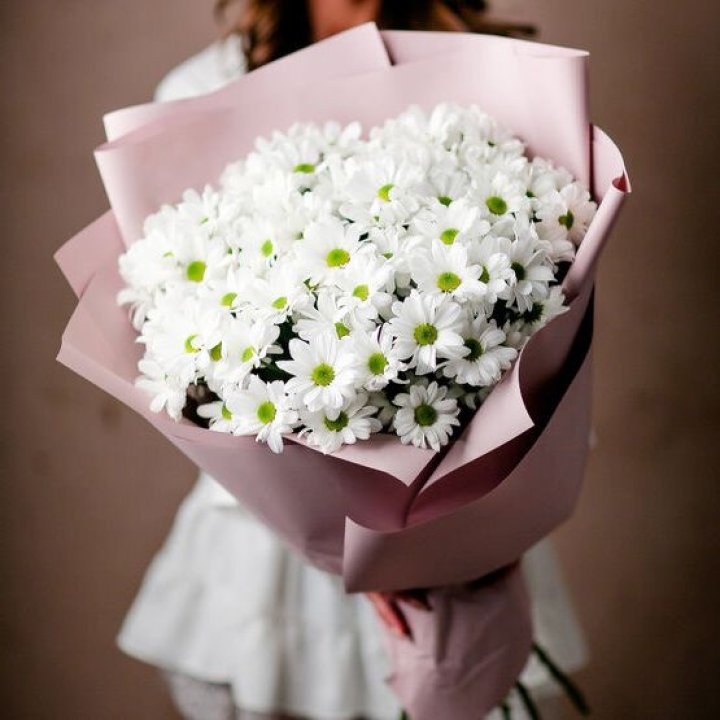 Букет хризантем №2 в Сочи