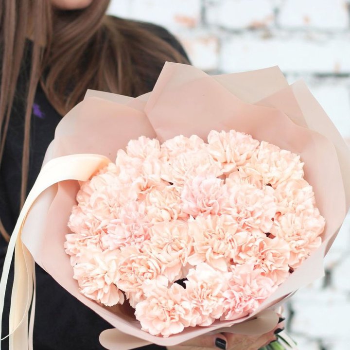 Диантусы №2 в Сочи