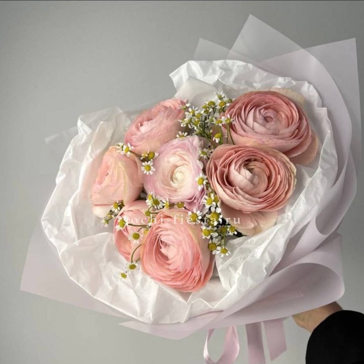 Ранункулюсы с ромашками в Сочи