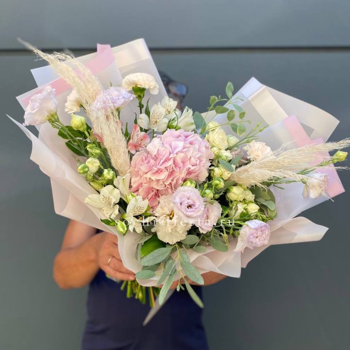 Гортензия "Pink Floyd" в Сочи