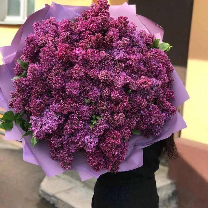 51 сирень в букете в Сочи