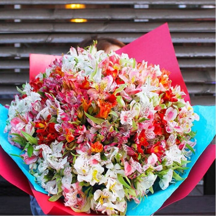 101 альстромерия в Сочи