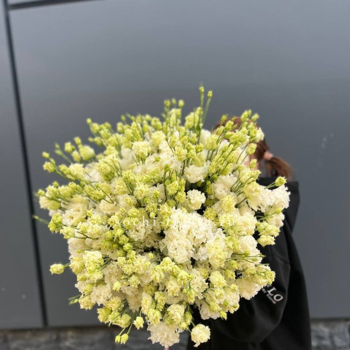 51 белая эустома в Сочи