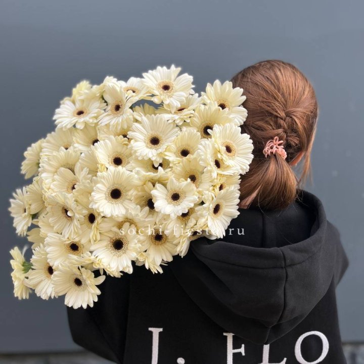 51 гербера в Сочи