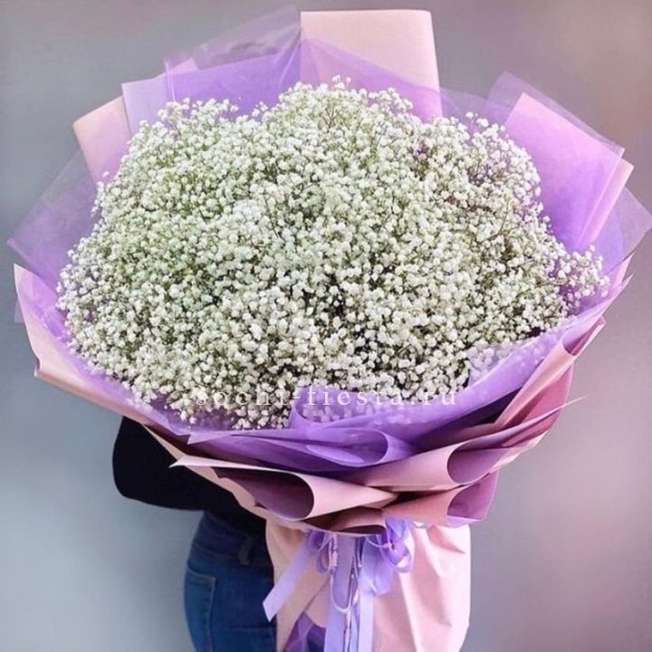 Облако белых гипсофил в Сочи