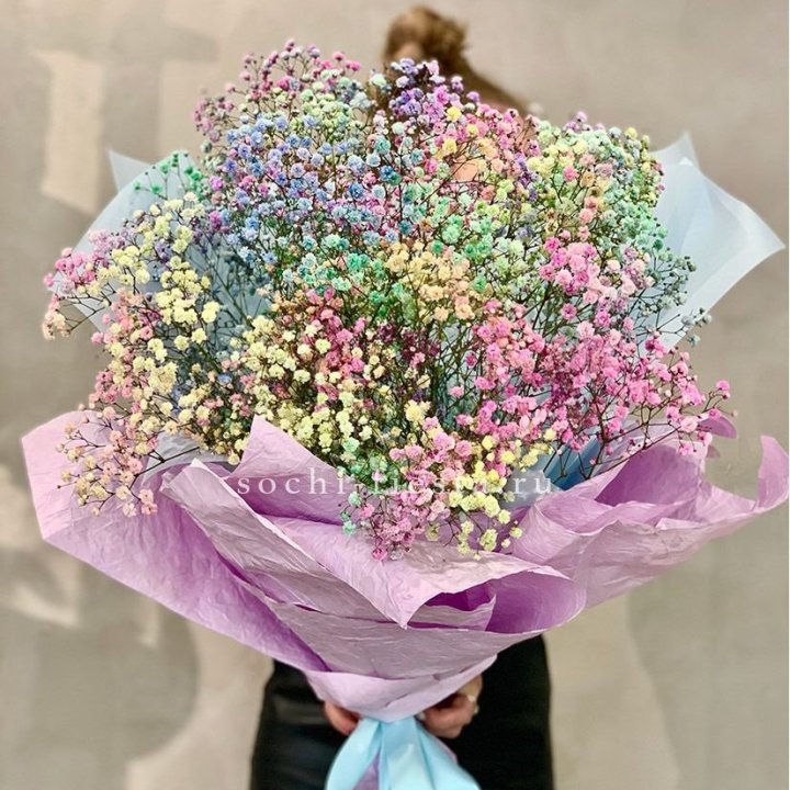 Радужные гипсофилы №2 в Сочи