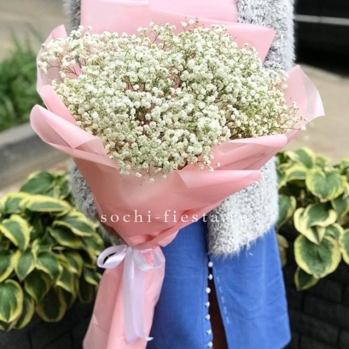 Белоснежные гипсофилы в Сочи