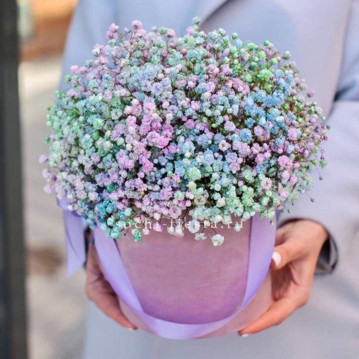 Гипсофилы в шляпной коробке "Кандилайт" в Сочи