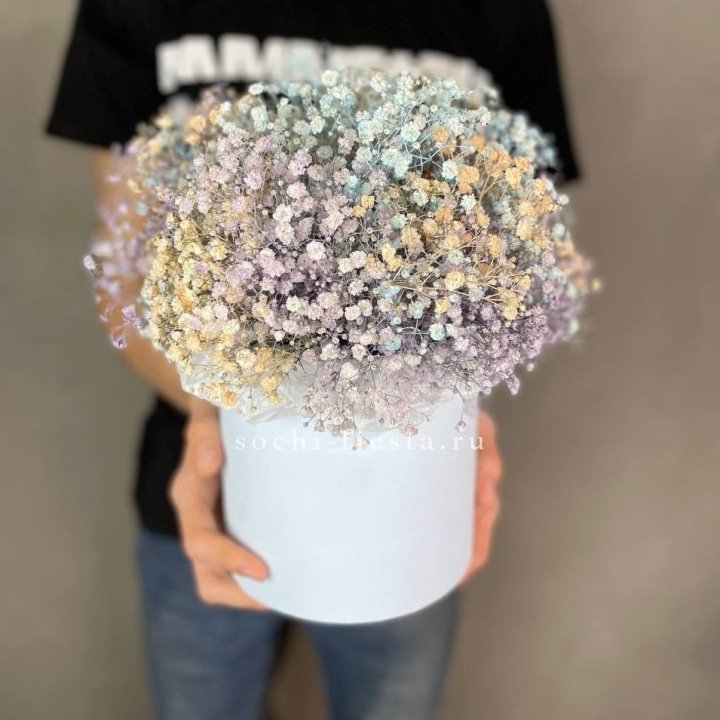 9 Радужных гипсофил в шляпной коробке в Сочи