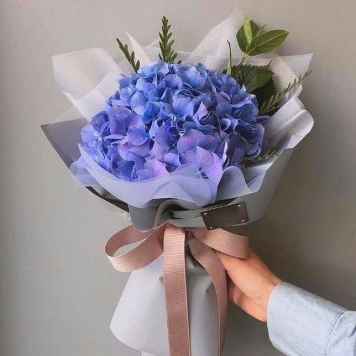 Гортензия голубая в Сочи