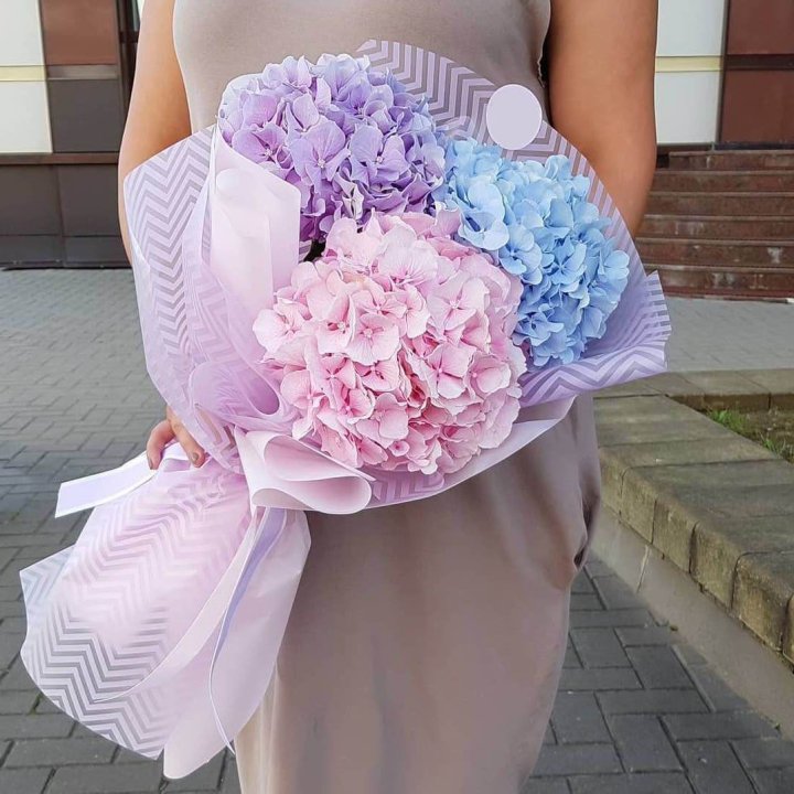 Букет гортензий "Пуф" в Сочи