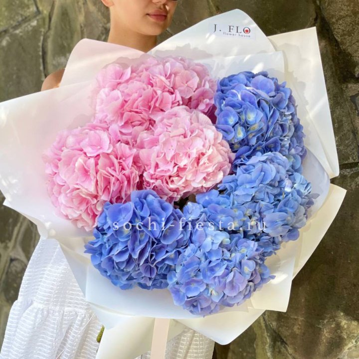 Букет гортензий №1 в Сочи