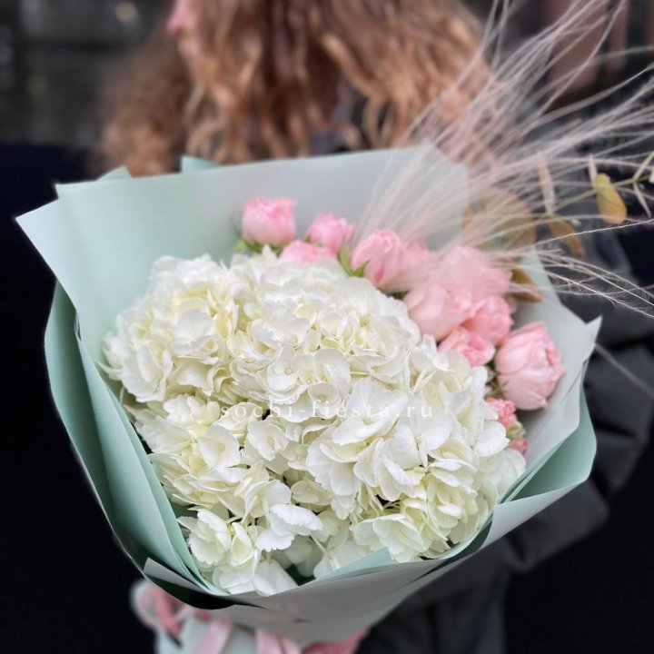 Гортензия "Жасмин" в Сочи