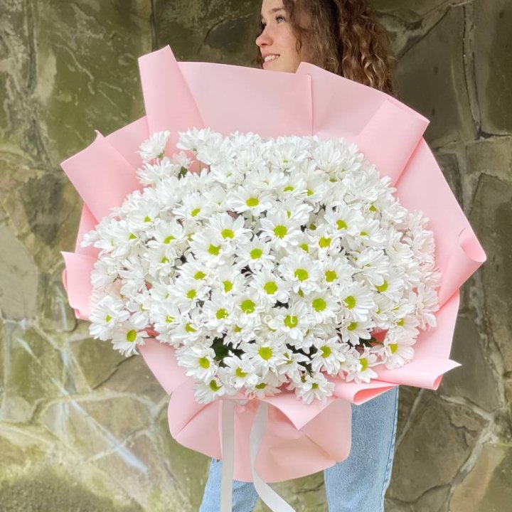  Букет хризантем "Крем" в Сочи