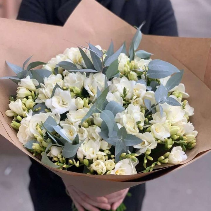 51 фрезия с эвкалиптом в Сочи