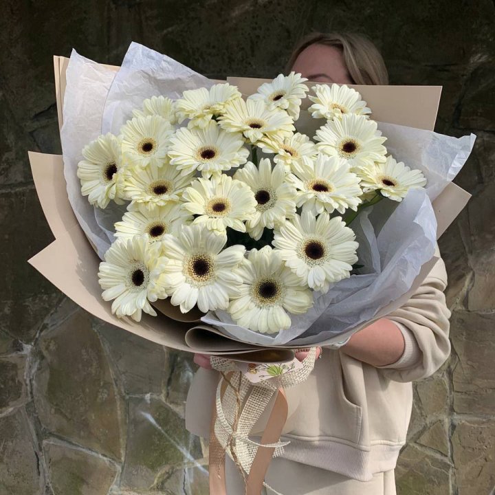 Букет голландских гербер "Shine" в Сочи