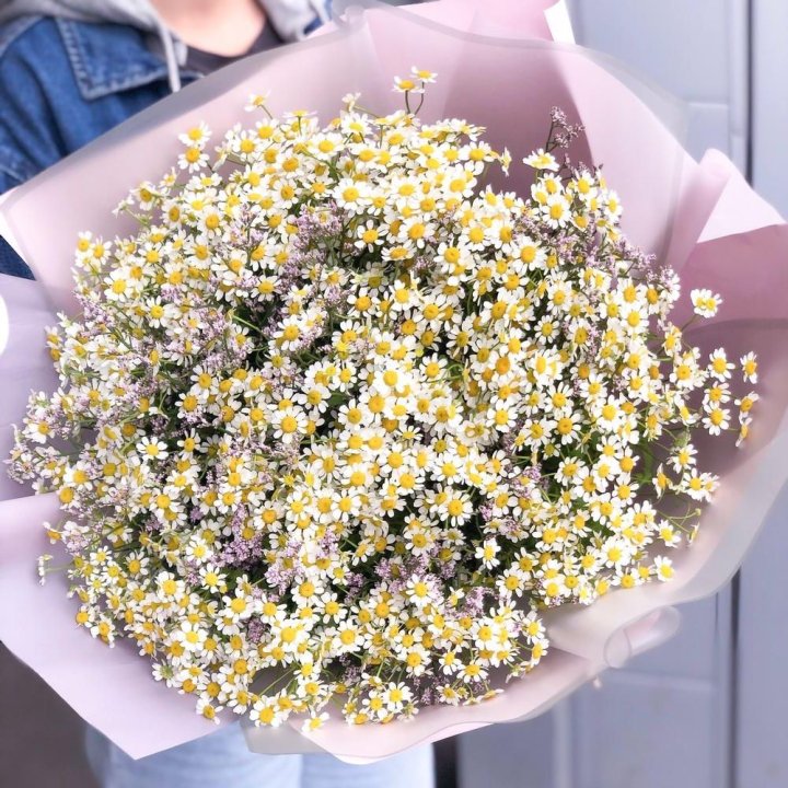 Букет ромашек №1 в Сочи