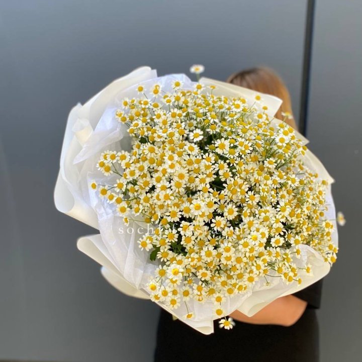 Букет ромашек "Фемели" в Сочи