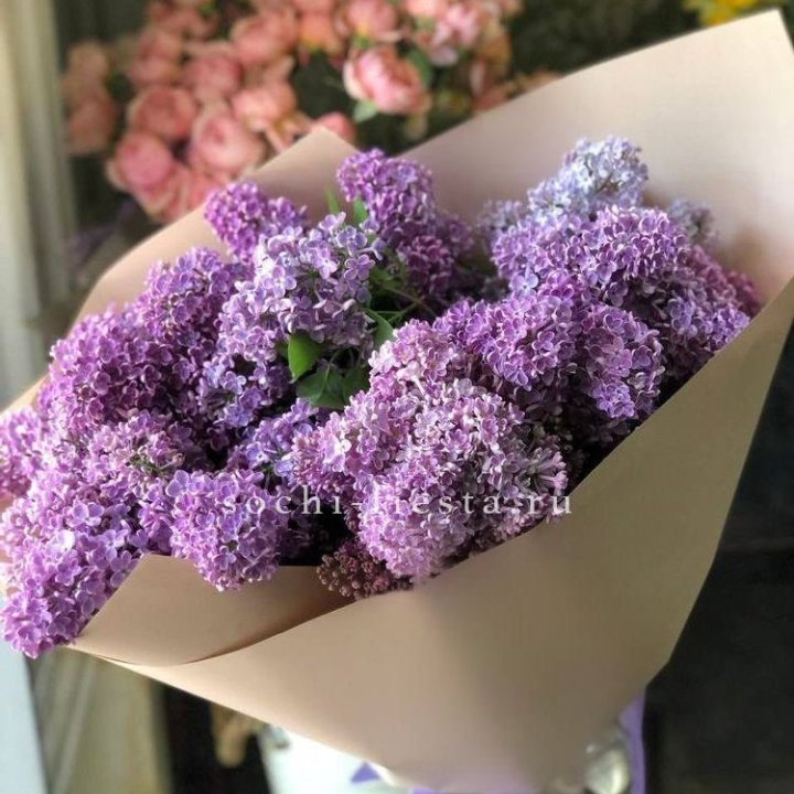 Букет сирени №2 в Сочи
