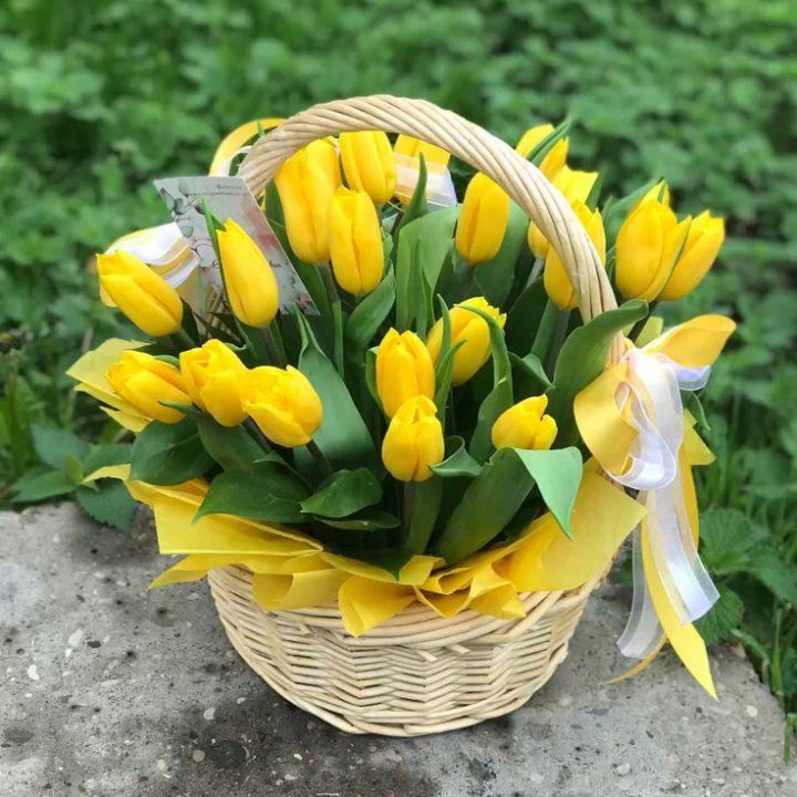 25 желтых тюльпанов в корзине в Сочи