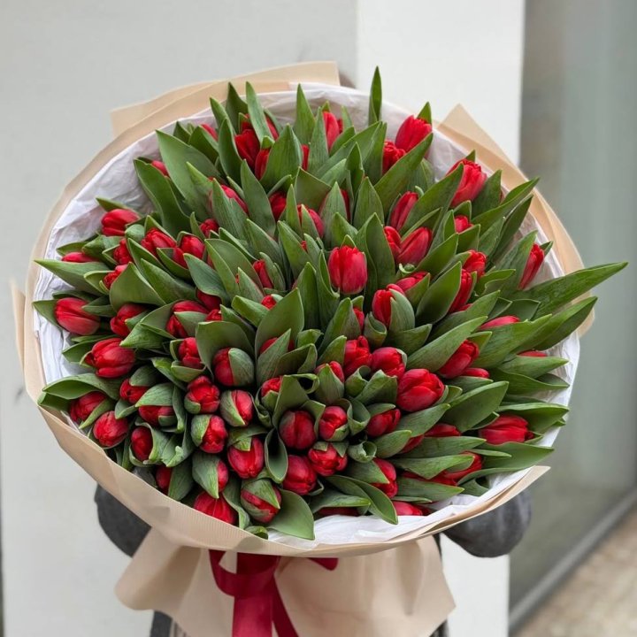 101 красный тюльпан в Сочи