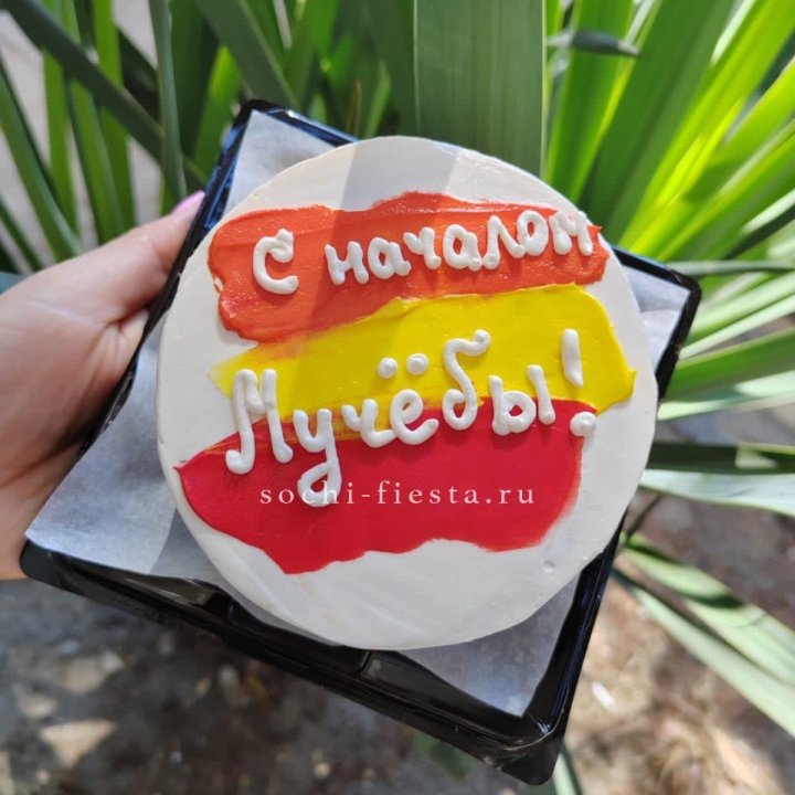 Бенто-торт "С началом учёбы"" в Сочи