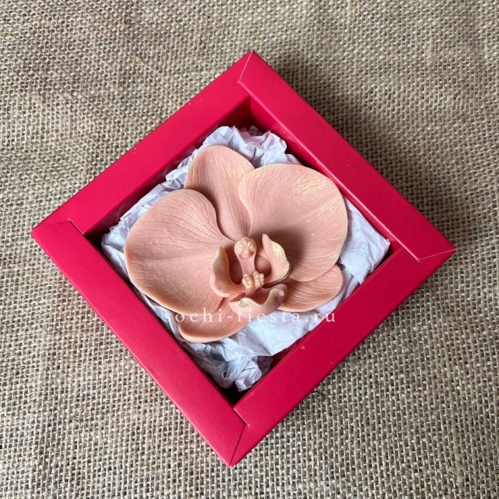 Бельгийский шоколад Орхидея в Сочи