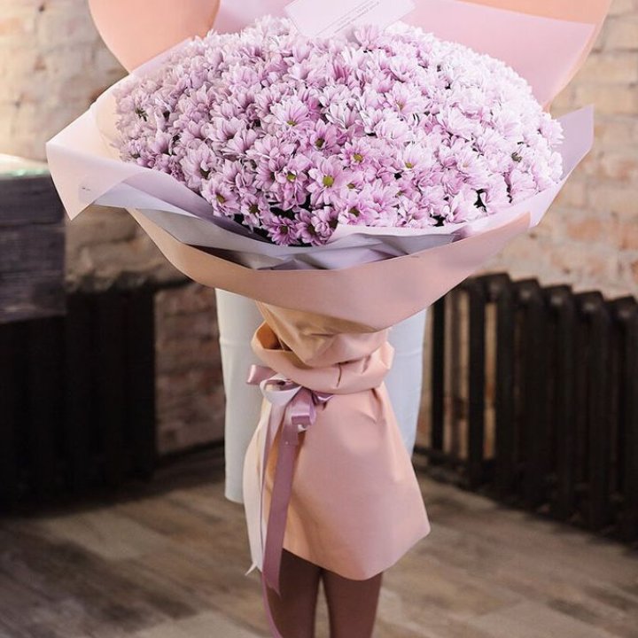 Облако хризантем №1 в Сочи