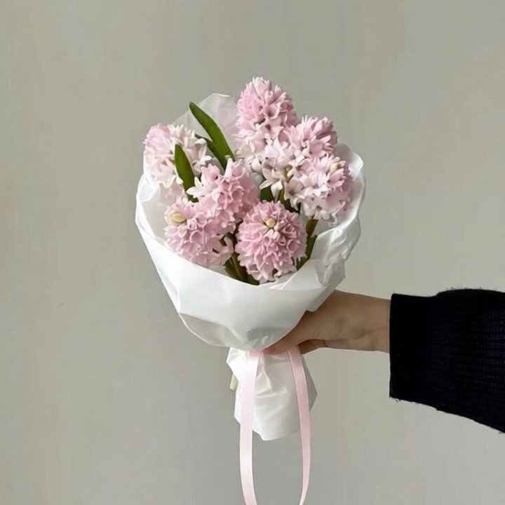 7 розовых гиацинтов в Сочи