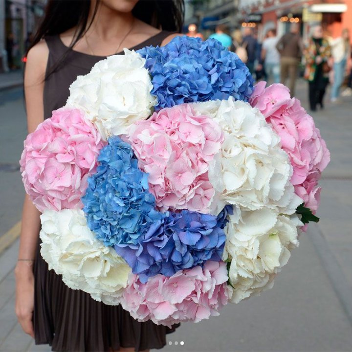 Букет гортензий "Инь-Янь" в Сочи