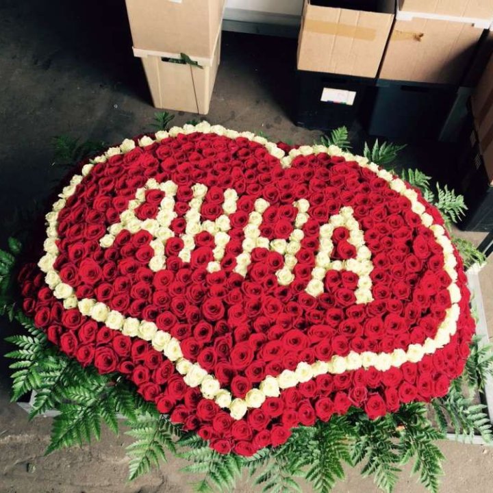 555 роз с именем в Сочи