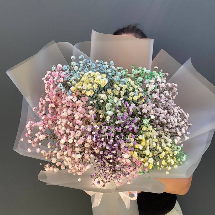 Радужные гипсофилы  в Сочи