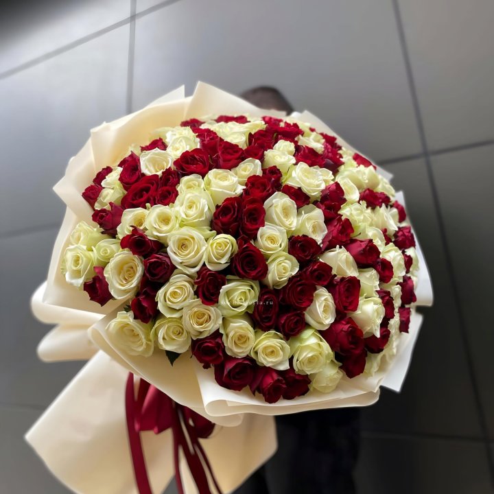 101 высокая импортная роза  в Сочи