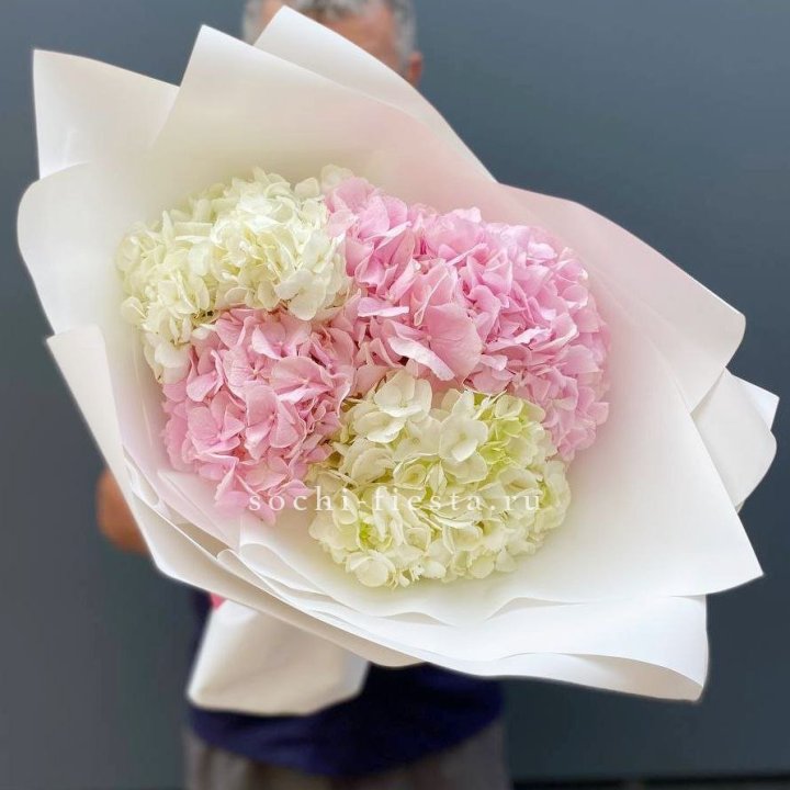 Букет гортензий "Moon" в Сочи