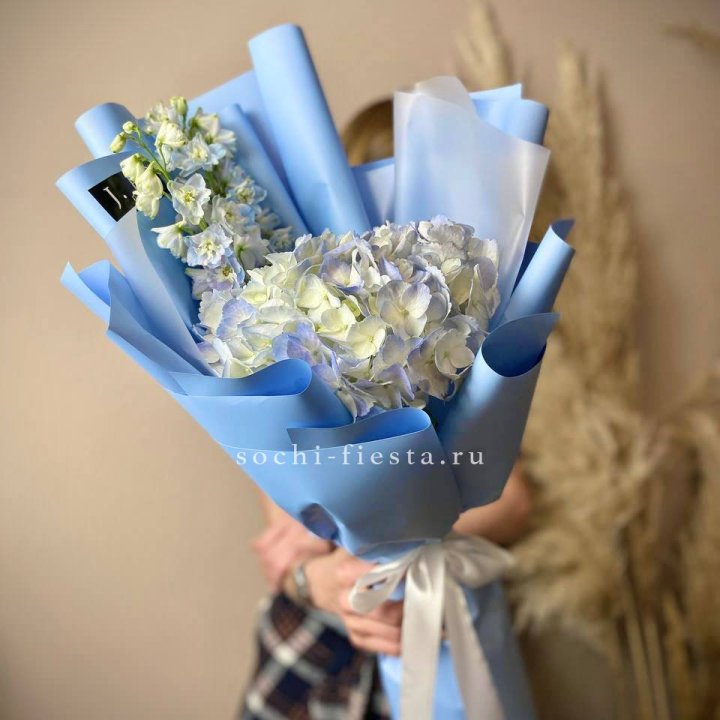 Гортензия "Блю скай" в Сочи