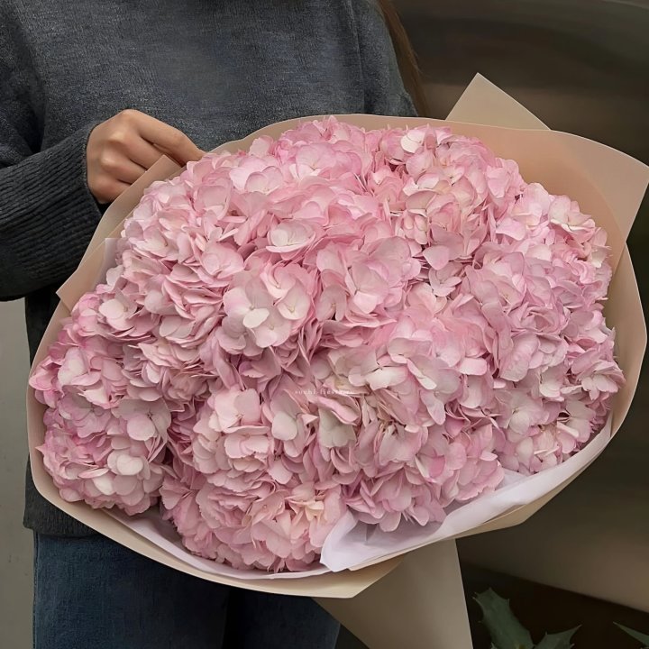 Гортензия  "РОЗЕ" в Сочи