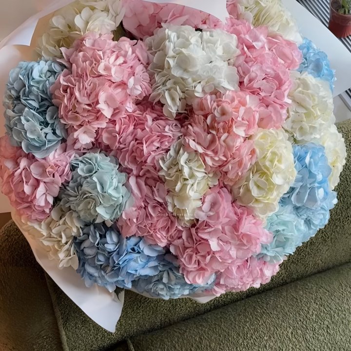 Букет гортензий Mix в Сочи