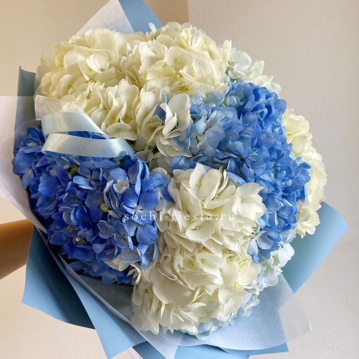 Букет гортензий "Голубая лаза" в Сочи