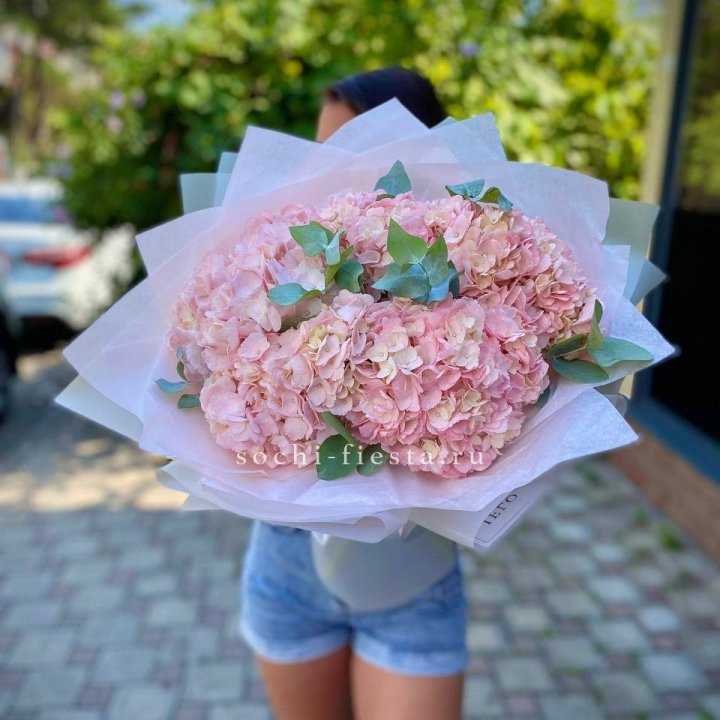 5 розовых гортензий Summer в Сочи