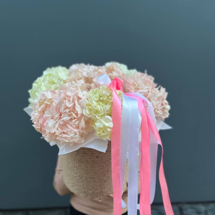 7 гортензий в кашпо в Сочи